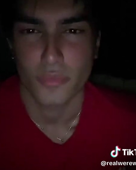 Exploring the Fascinating World of Werewolves