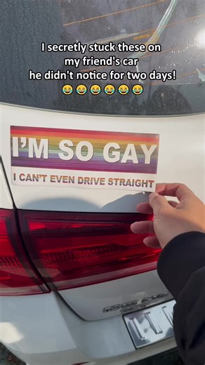 Funny Magnetic Car Stickers for Pranks