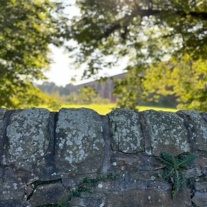 theenglishstreamer - Twitch