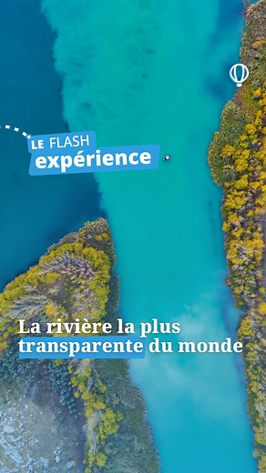Le Média Expérience on Instagram: "Perdue au cœur du Brésil, la rivière Sucuriú est l’une des plus translucides au monde ! 🏞️🇧🇷 Seuls 80 chanceux par jour peuvent s’y aventurer et croiser des créatures fascinantes… dont l’anaconda ! 🐍 Mais son plus grand secret se cache sous la surface : une ouverture discrète mène à l’abysse d’Anhumas, une grotte sous-marine aussi grande qu’un terrain de foot, avec des formations calcaires géantes et une profondeur vertigineuse de près de 100 mètres… encore