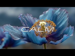Ambient Guitar Music for Sleep | Calming Acoustic Guitar Backing Track & Piano Chill