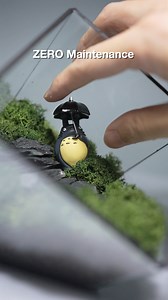 2.2K reactions · 18 shares | 100% REAL plant, museum-grade preserved...