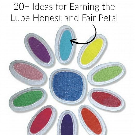 20  FUN Lupe Petal Ideas