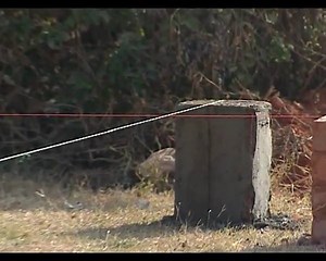 5.3K views · 171 reactions | #Procedure of #Setting #Out of #Building for #Excavation #Work #Boss | The Civil Engineering | Facebook