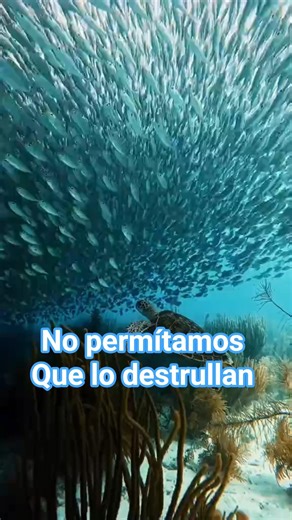 Mahahuala Quintana Roo y su ecosistema nos necesita