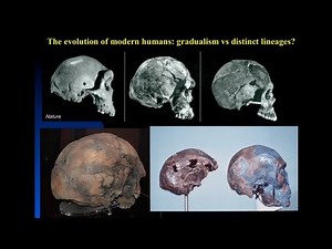 CARTA: The Origin of Us - Fossils of Modern Humans Interbreeding within and outside of Africa