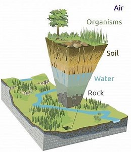 #118: The Critical Zone: Earth's Living Skin