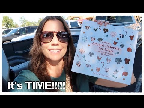 Searching for Advent Calendars!!! 🐩😃