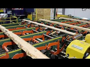 Curve Sawing Combination Gang / Board Edger - Pukall Lumber Co