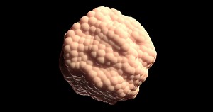 Download Microscopic view of a cancer molecule spinning on a seamless loop for free