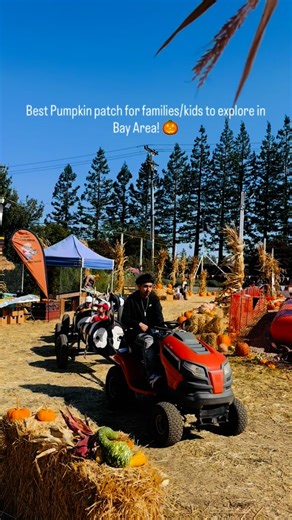 Save this reel for your next pumpkin patch visit in Bay Area! 🎃 📌 Queen’s Pumpkin Patch, Pumpkin patch in Saratoga, California. This pumpkin patch is everything and more! From the great prices, to the food offered and the big variety of such wonderful activities for kids of all ages. Main attraction: Hamster balls to ride in the water, kids boat rides for the smaller children, rock climbing and gem panning as well as tons of photo ops for the families. Other options are hay rides, petting zoo,