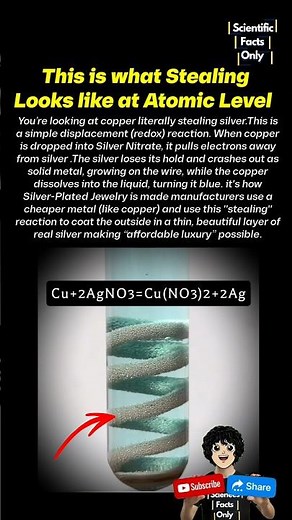 Why does Copper Steals Silver? 😲 #science #chemistry