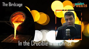 The Birdcage - Thoughts on Lesson 3, Quarter 3, 2022 (In the Crucible With Christ) of the Adult Sabbath School Bible Study Guide #SabbathSchool #lessoninone #adventist #sabbathschoollesson #InTheCrucibleWithChrist | Short Points