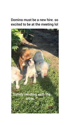 Marshmallow ain’t here a word you said btw