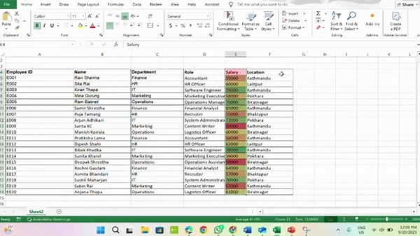 How to Use Conditional Formatting in Excel ?