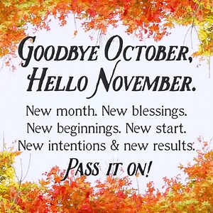 705K views · 12K reactions | Have a BEAUTIFUL November! :D <3 :D <3 :D <3 | The Purple Flower | Facebook