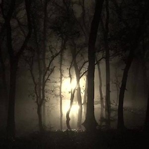 Stay up-to-date on paranormal findings and explore new esoteric topics with Beyond Belief. | Unexplained on Gaia