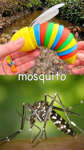 Bug Insect Names | Kids Learn at the Waterfall: Butterfly Mosquito Ant Bee Fly