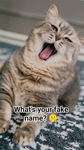 What's your fake name?