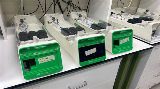 In A World First, Scientists Create Computer That Runs On Living Human Brain Cells