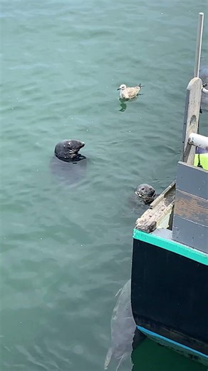 Chatham MA, Cape Cod