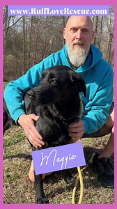 1.8K views · 49 reactions | Adopt Maggie through www.RuffLoveRescue.com, located in Thomasville,NC #labradoodle | Ruff Love Rescue | Facebook