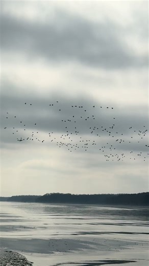 Missing Lake Barkley Already? A Reflection on Outdoor Memories