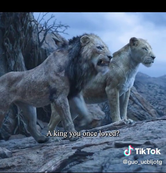 Lion King: Simba Confronts Scar