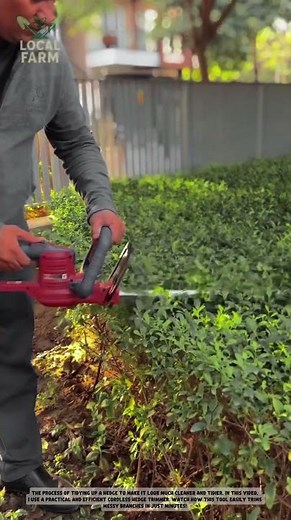 Efficient Gardening: Cordless Hedge Trimmer Review & Demo