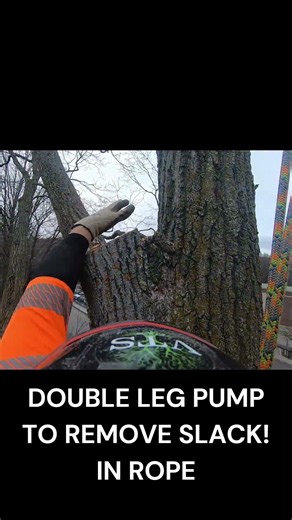 Tree climbing technique!#arborist #gopro #skills #treecutting #treeremoval #work #stihl #rope #job