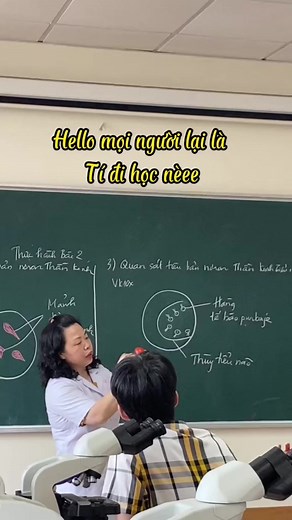 💻 | Doctor Podcast