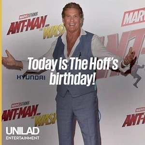Happy Birthday to The Hoff! 🎉 | LADbible Entertainment
