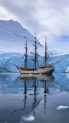 International Exchange Office at American University of Sharjah on Instagram: "Not all classrooms have walls. Some are shaped by team spirit, a sense of wonder, and the open seas. Drawing inspiration from the maritime legacy of the Al Qasimi, the ruling family of #Sharjah , the American University of Sharjah’s International Exchange Office announces a distinctive collaboration with @barkeuropa , offering a truly rare experiential learning opportunity to our community and the United Arab Emirates