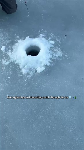 Exciting Ice Fishing Adventure: Catching Catfish