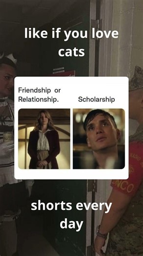 Day 88 posting memes until I hit 1M subs