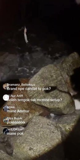 Musim sotong ganu #eging #ShopeeYTDeals