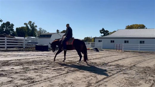 13K views · 122 reactions | DONT SKIP THIS CODE 2020 sorrel gelding!...