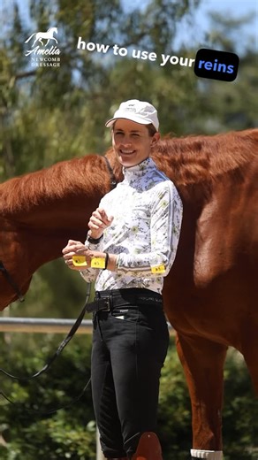 Amelia Newcomb Dressage on Instagram: "If you’re struggling to understand how to use your reins to support your horse, here’s the simple sequence I teach all my students: 1️⃣ Fingers — Use your fingers like you’re gently squeezing a lemon. This is the first, lightest aid that talks to your horse’s jaw. 2️⃣ Wrist — This helps supple your horse through the poll. 3️⃣ Elbow — Your elbow controls the positioning of the neck. Always go in this order so your aids stay soft, clear, and effective. When y