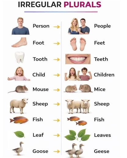 Daily English Learning Tips for Effective Study