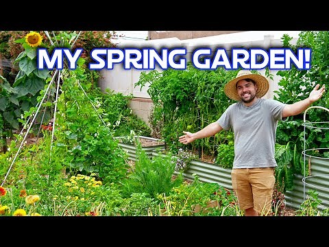 Spring Garden Tour 2024 | Vegetables, Natives, Trees, and More!