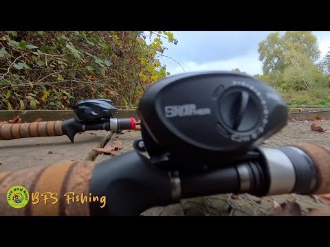 ULTIMATE Finesse Perch Fishing on BFS! (Drop Shot & Cheb Rig)