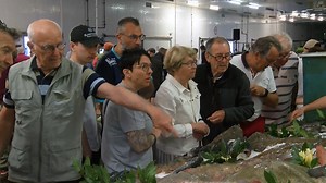 Route pêche : une journée pour découvrir la filière pêche - Actualité en Vendée