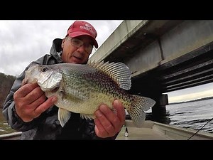 Secrets For Crappie Fishing Bridges! MONSTER CRAPPIE!!!