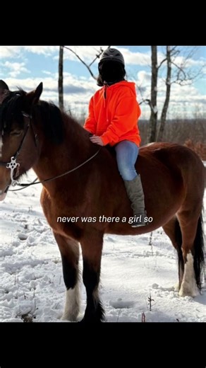 Gypsyyy #horse #equestrianjourney #horseenthusiast #equation #equestrian #riding #horsebreed #pony