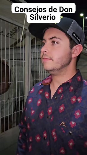 Consejos de Don Silverio Gaitán Uribe #fyp #viral #donsilverio #donwicho | Don Silverio y Don Wicho Fans