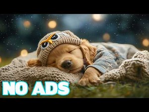 12 Hours of Sleep Music for Dogs 🌙🐶 Relaxing Music for Dogs 💤 Calm Sleep Sounds for Dogs