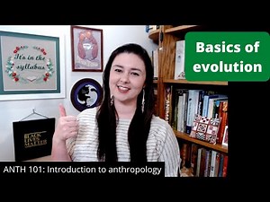 Basics of evolution