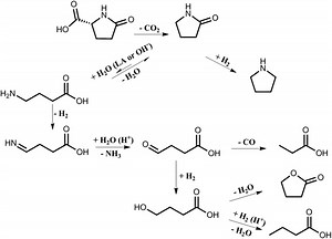 Pyroglutamic acid - Alchetron, The Free Social Encyclopedia
