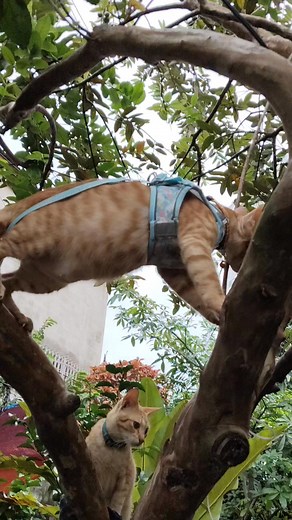 18 reactions · 5 comments | Lady Nove Potenciano on Reels | Facebook