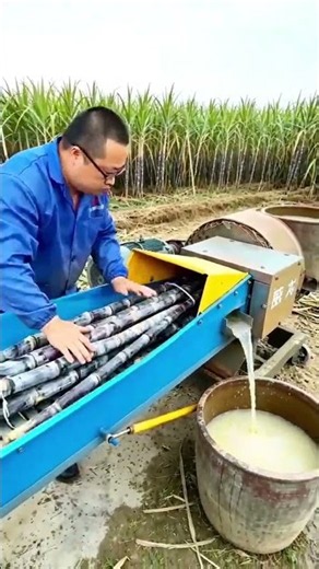 🎋🚜 Sugarcane Crushing and Juice Extraction